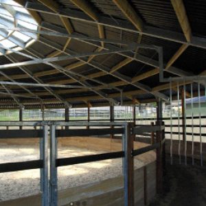 Interior of a Belebro horsewalker designed with the psychology of the horse in mind