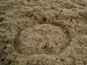 A horse hoof print in Equivia number 1 equestrian surface
