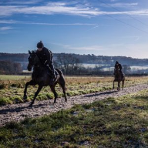 Racehorses training on an Equivia all weather gallop in the winter