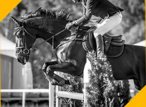 Event rider jumping on an Equivia surface