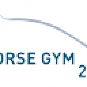 Horse Gym 2000 logo