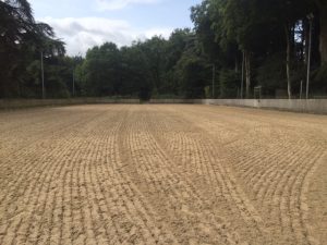 All Weather Surface Equestrian Riding Surface Arena