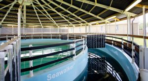 Interior of a Seawalker horse water walker