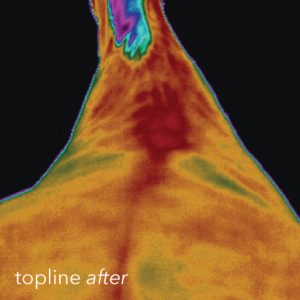 Photo showing how The Vitafloor stimulates blood circulation and the improvements to the topline