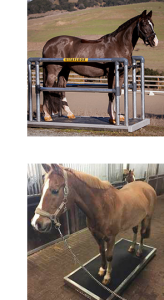 Cropped image of a mobile Vitafloor equine vibrating floor system