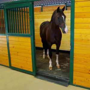 A horse stood inside a stable fitted with a Vitafloor equine vibration therapy system