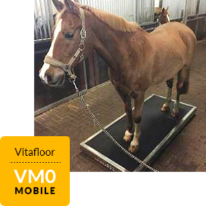 A mobile Vitafloor VMC version which is the moving floor only