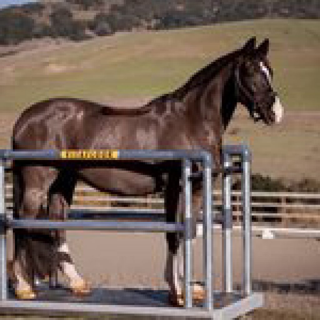 vm0 Equine Health Centre