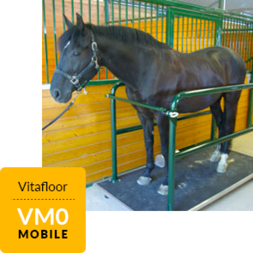 vm0 Equine Health Centre