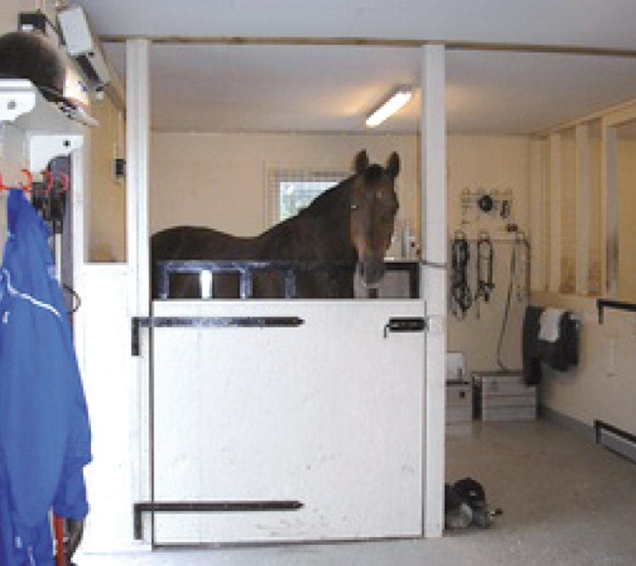 Horse stood in a Vitafloor VM1 Compact vibrating floor system