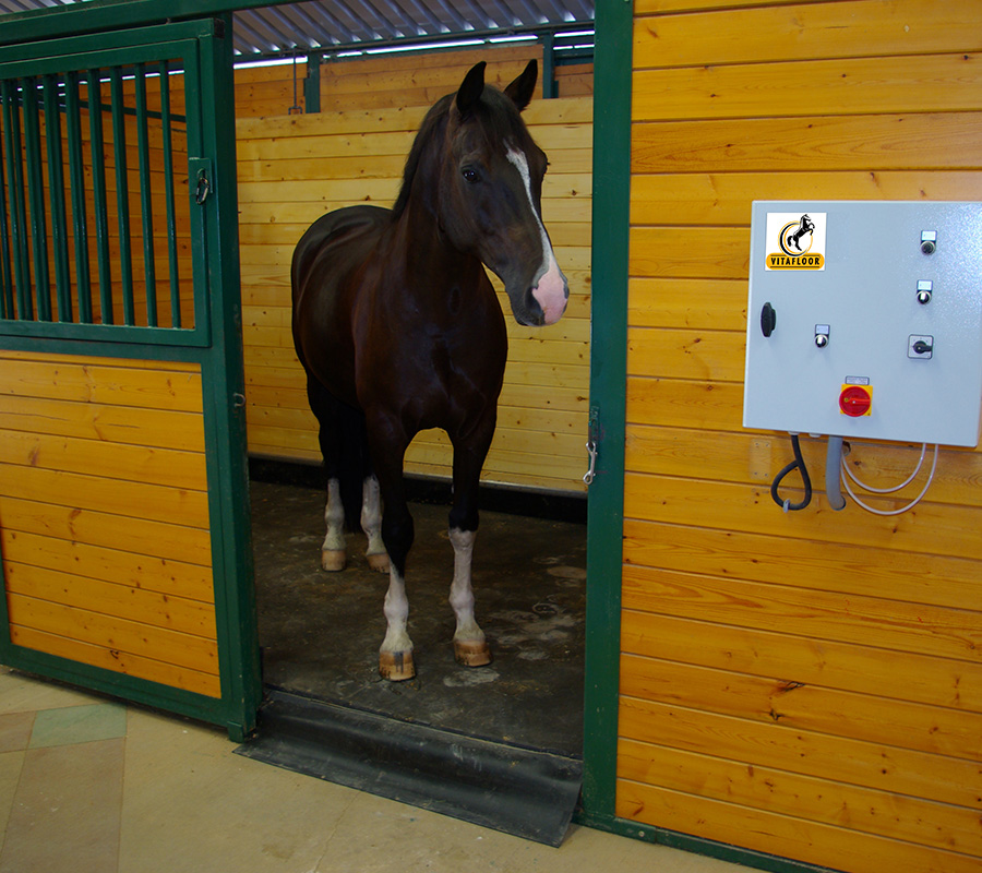 Horse stood on a Vitafloor fitted into a standard stable