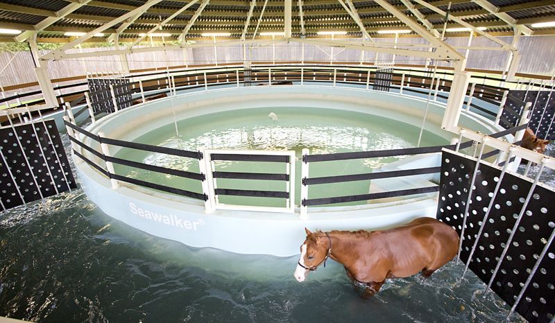 The interior of a Seawalker Horse Water Walker