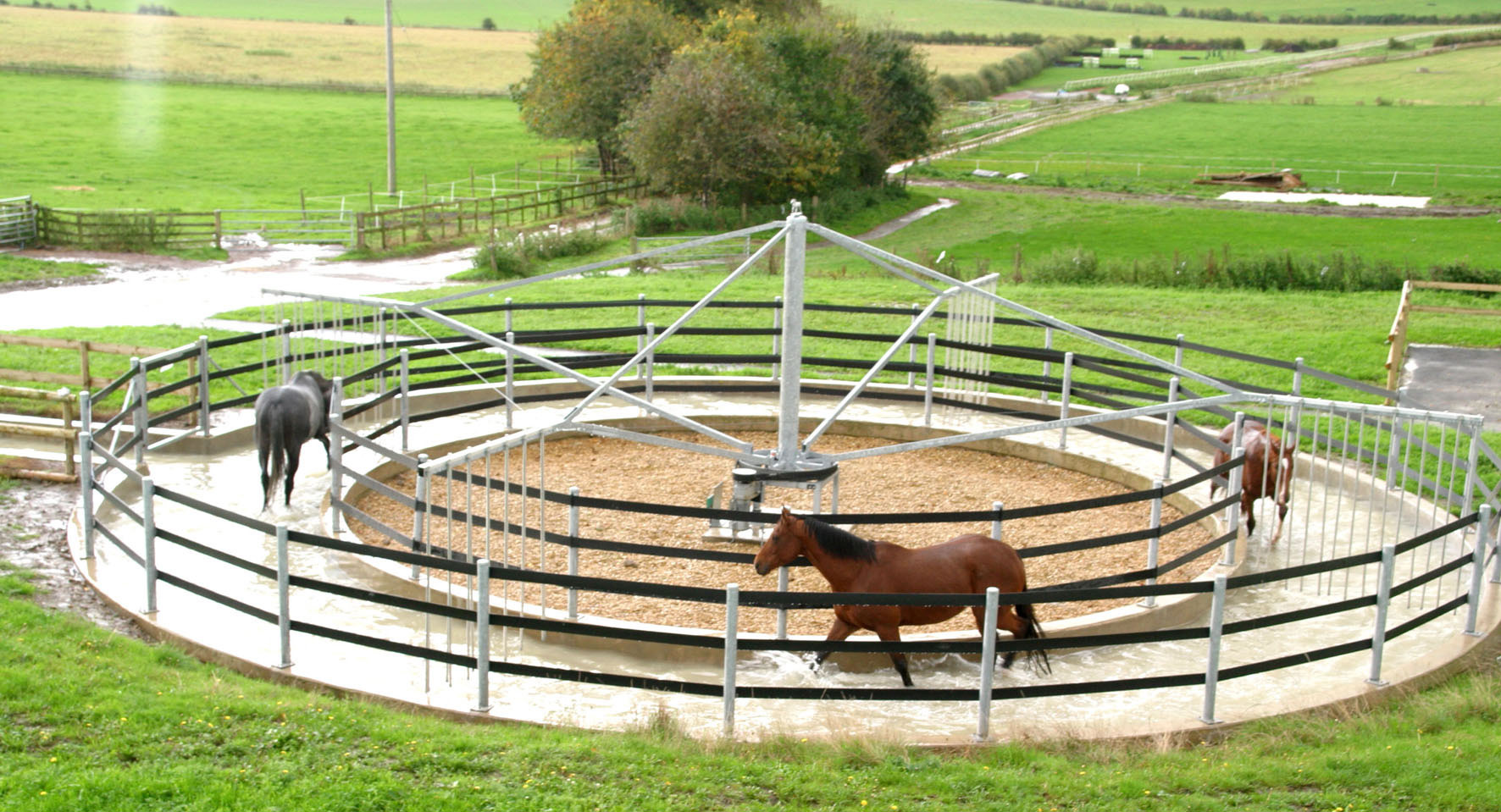 horses-in-15m-seawalker-no-pagoda Racehorses using the Seawalker with no pagoda outside