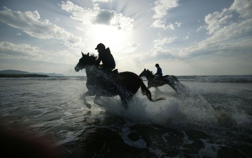 Two horses and riders in the sea