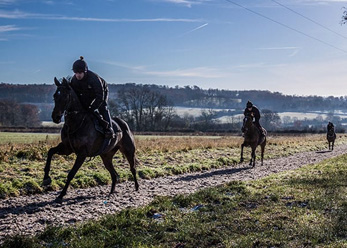 Early morning on an Equivia gallops