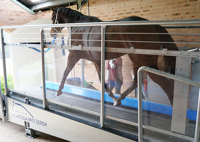 A Horse Gym 2000 Equine Treadmill in use offering controlled exercise at all paces.