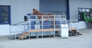 The Horse Gym 2000 - offering something extra to the training regime in a safe environment