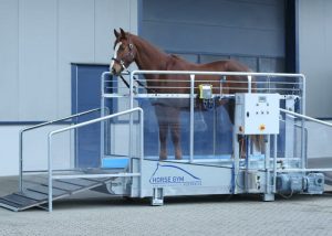 A horse standing in a Horse Gym 2000 equine treadmill