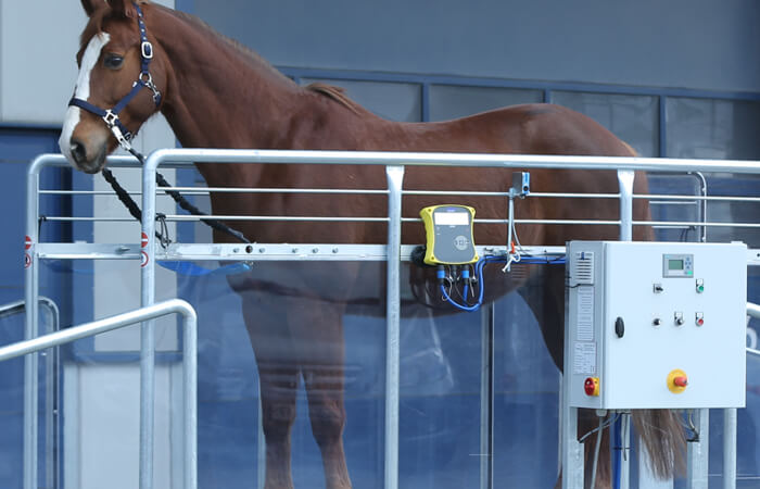 A close up of the controls on a Horse Gym 2000 equine treadmill