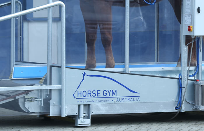 Close up of a horse's front legs on a Horse Gym 2000 equine treadmill