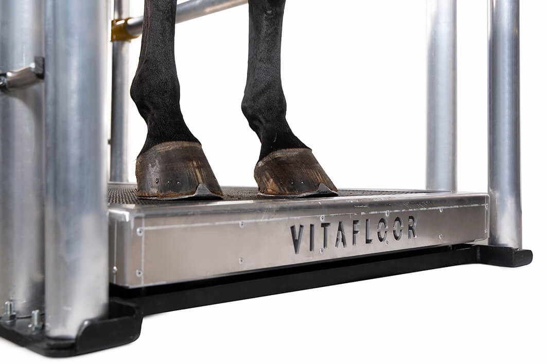 A horses front two feet on a Vitafloor equine vibration therapy system