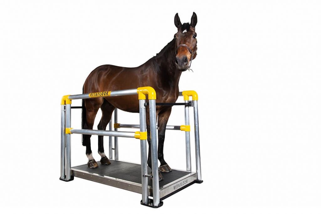 Range Equine Health Centre