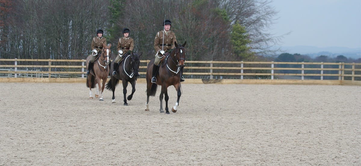 Equivia All Weather Equestrian Surfaces Equine Health Centre