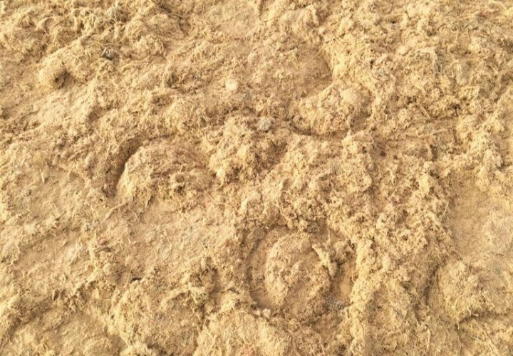 How to care for your riding arena surface Equine Health Centre Blog