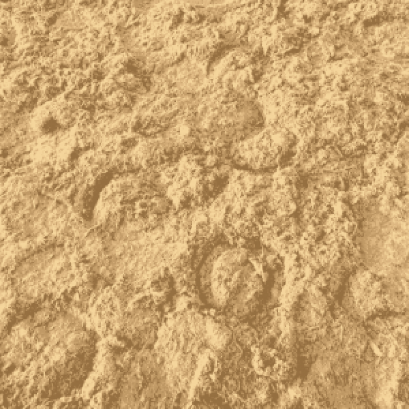 hoof prints in sand surface