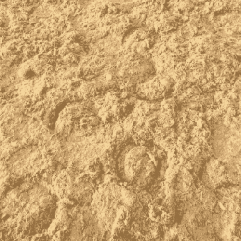 equivia-no-2-new-800×800 hoof prints in sand surface