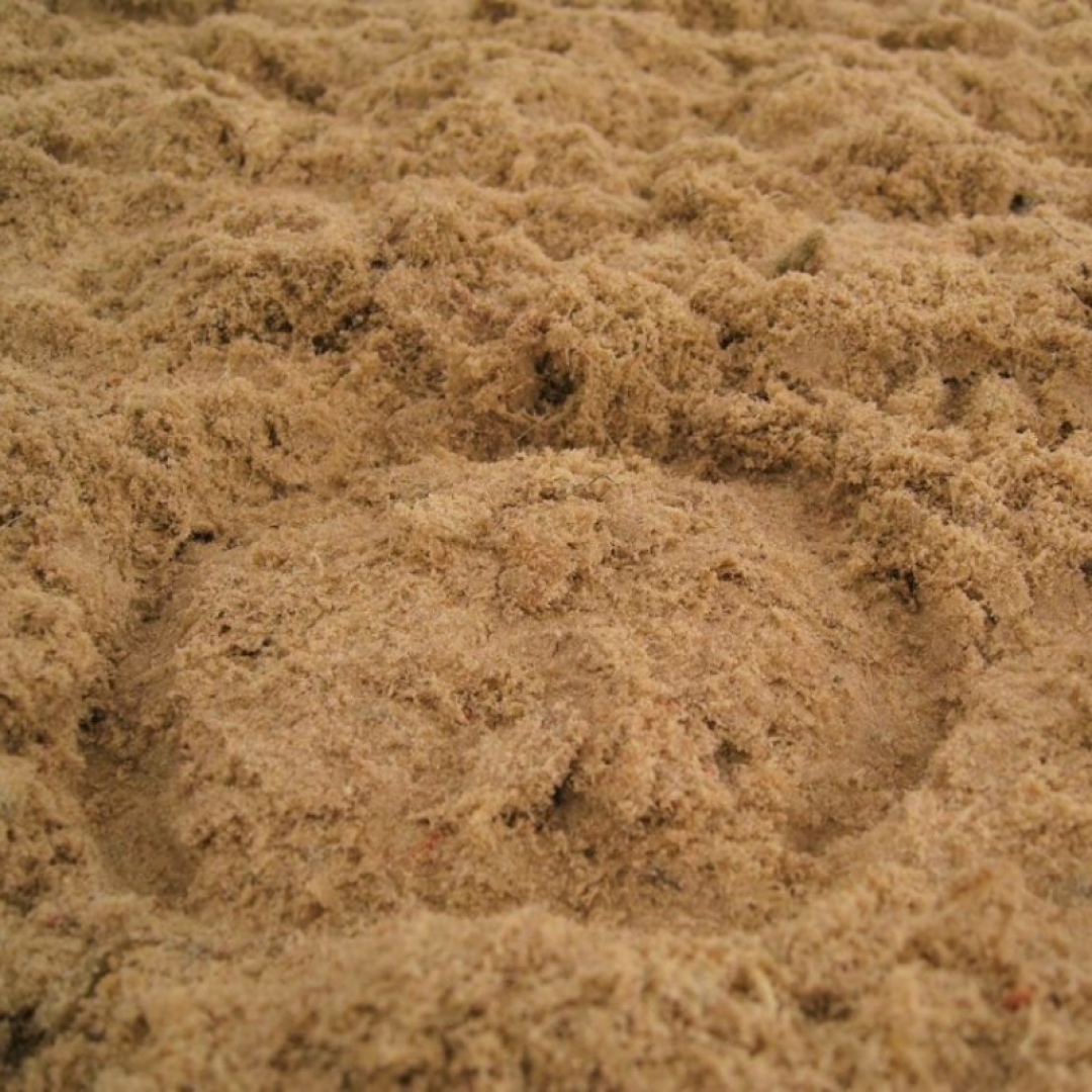 hoof print in sand