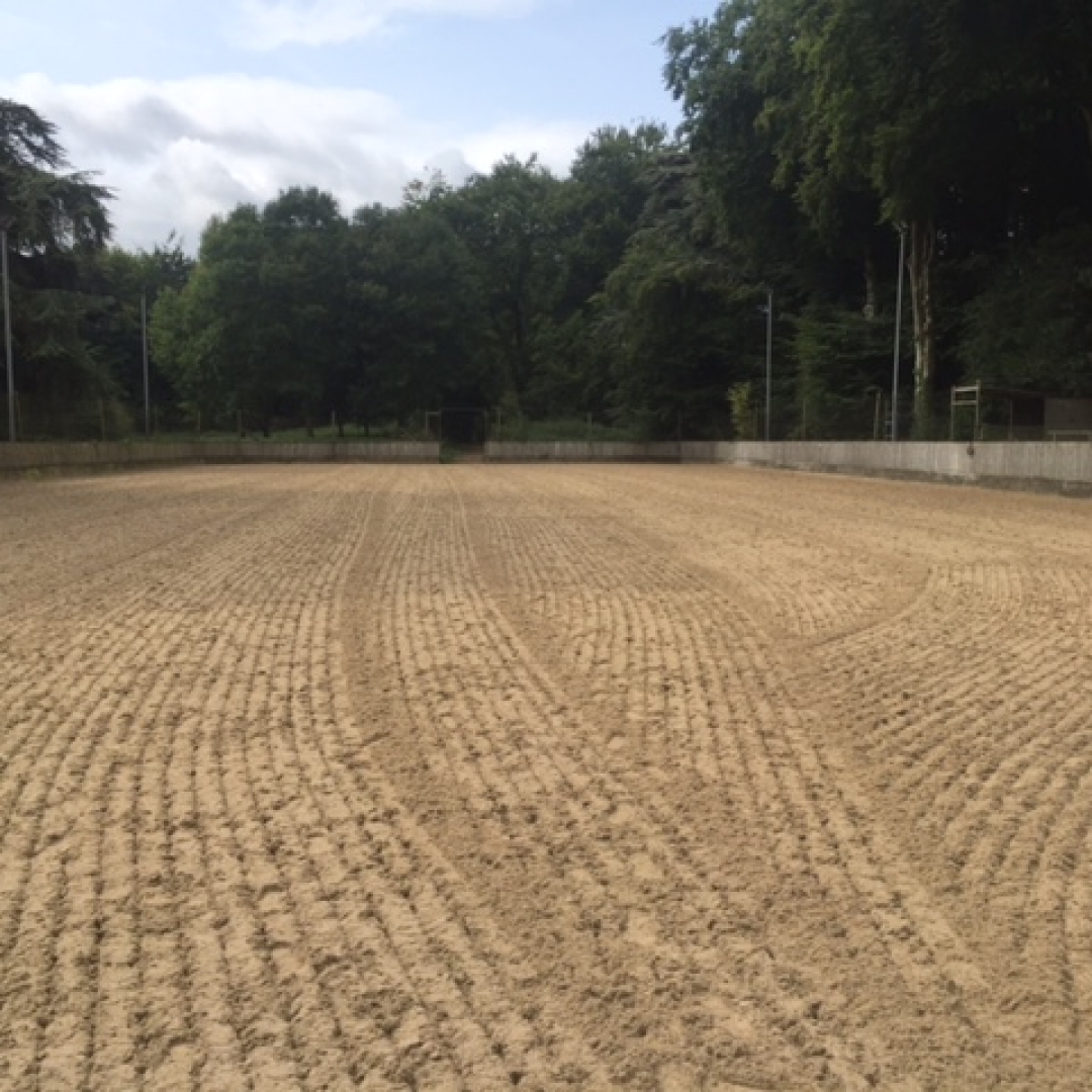 All Weather Surface Equestrian Riding Surface Arena