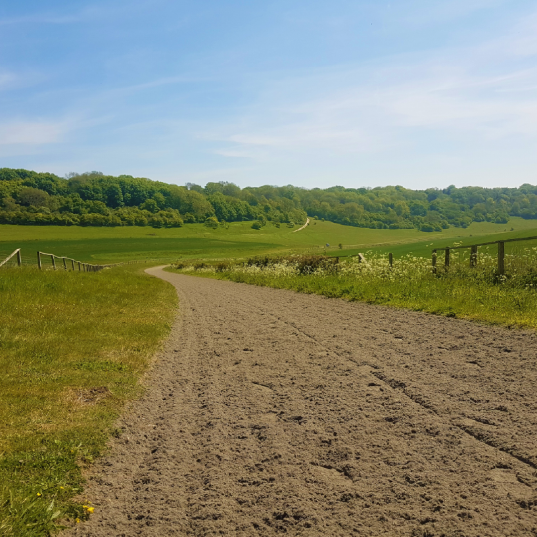 racing2 A gallop with an Equivia equestrian surface