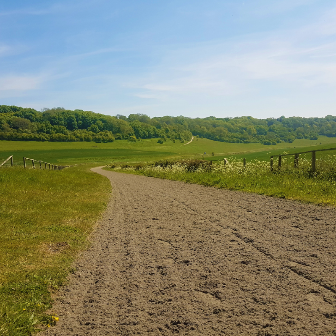 Equivia Gallop on rolling hills