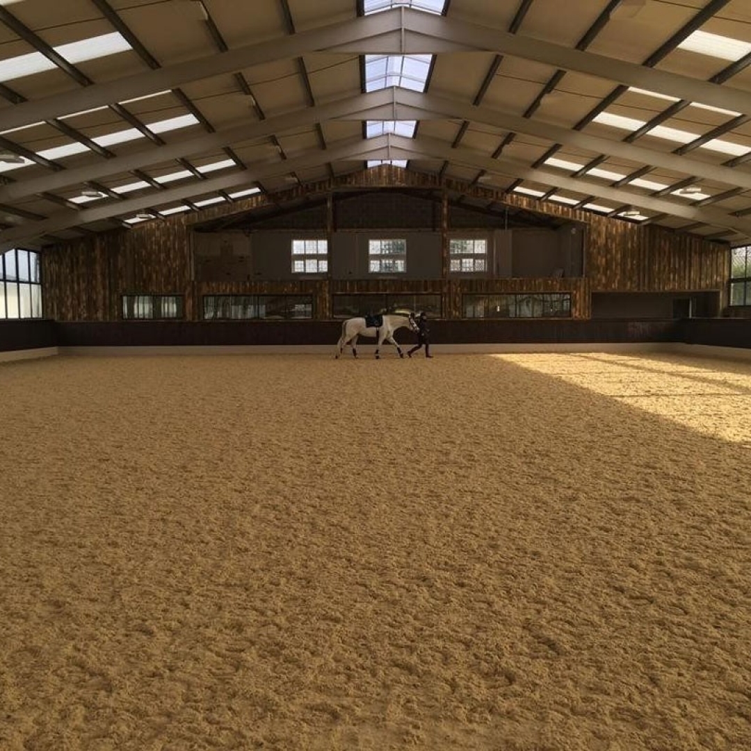 indoor riding arena with sand surface and white horse walking