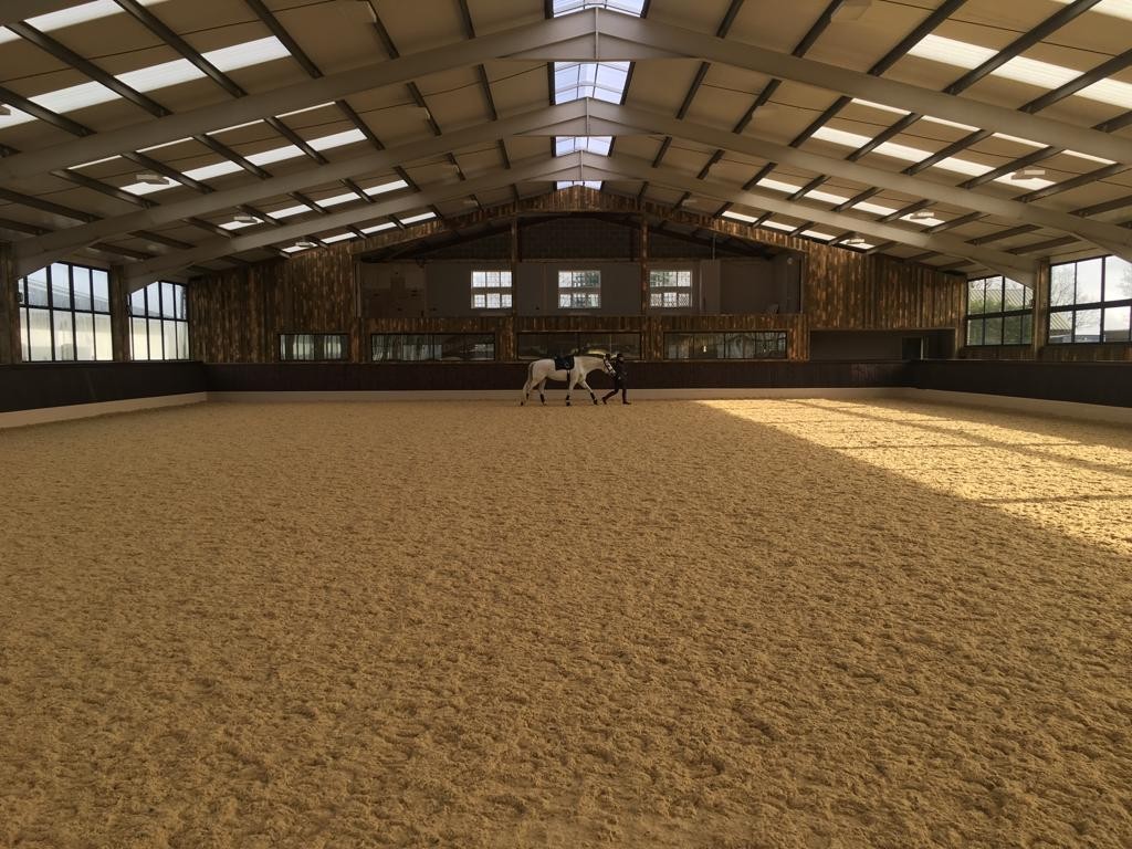 Equivia All Weather Equestrian Surfaces Equine Health Centre